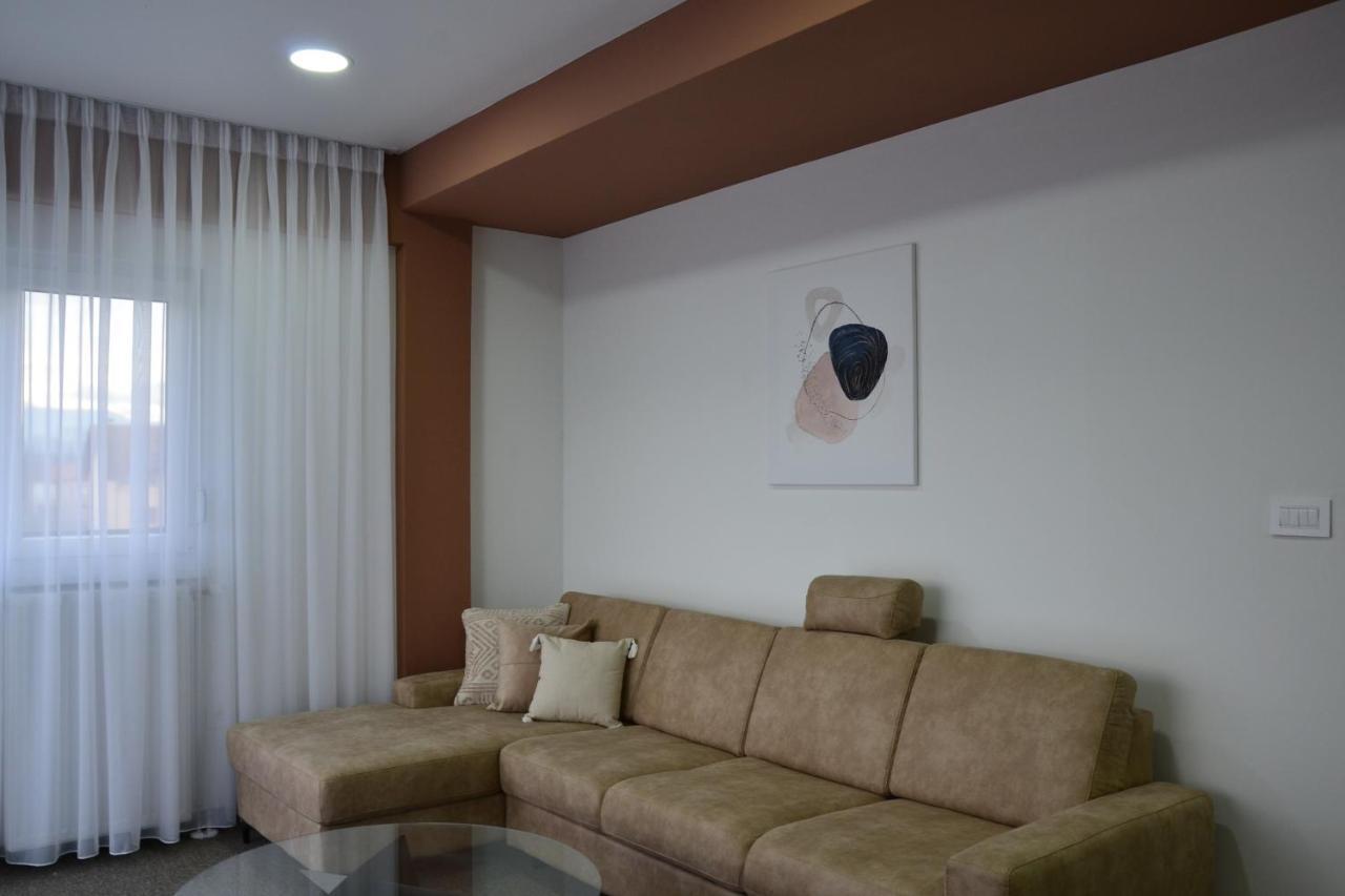 Atos Centar Apartment Celinac Екстериор снимка